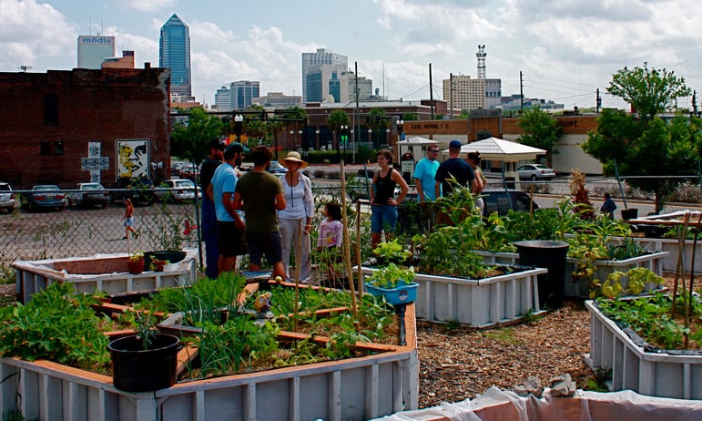 Urban Gardening Projects